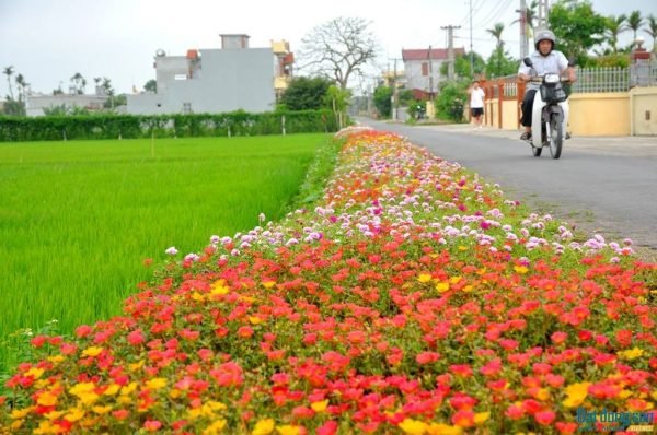Mua song chắn rác tại Thái Bình