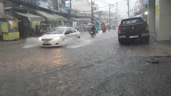 Làm cống ngăn triều cần có lưới chắn rác