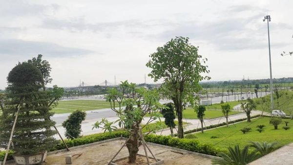 Những tính năng ưu việt khi sử dụng dịch vụ nắp hố ga tại Thái Bình