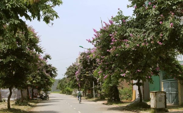 Giới thiệu nắp hố ga tại Phú Thọ bởi đơn vị sản xuất Nắp Hố Ga Công Trình
