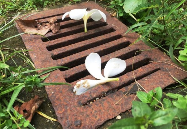 Một số loại Vỉ sắt chắn rác tại trên đường phố